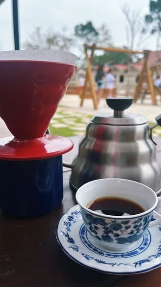 FILTRADO HARIO V60