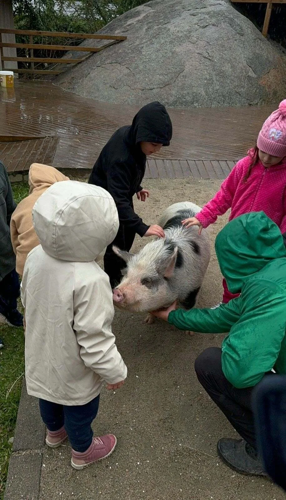 Child playing with a pig at Fazendinha